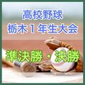 高校野球・栃木県1年生大会決勝 文星付が5年ぶり王者 日下田が猛打賞の活躍、桜田は7回1失点完投