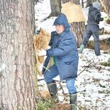 大田原の国指定史跡・下侍塚古墳でこも外し　雪化粧の中、早春の風物詩　