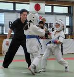 全県スポーツ記録帳