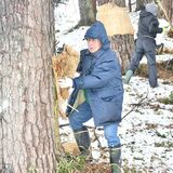 大田原の国指定史跡・下侍塚古墳でこも外し　雪化粧の中、早春の風物詩　