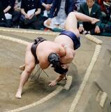 大関復帰の霧島５連勝
