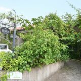 フルーツサンドの「パレット」（宇都宮）破産手続き開始決定　栃木県内フルーツサンドの先駆け、閉店に驚きの声