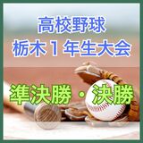 高校野球・栃木県1年生大会決勝 文星付が5年ぶり王者 日下田が猛打賞の活躍、桜田は7回1失点完投