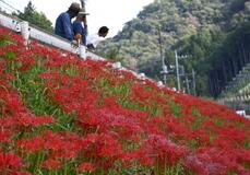 燃ゆる山里