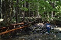 指定廃棄物処分場候補地に選定から５年