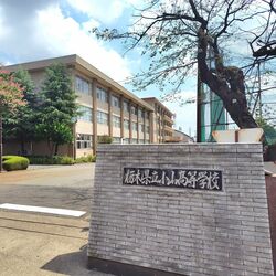 【受験の現在地⑫】栃木県立小山高校 大学と連携、教授の直接指導で探究学習 主体性を育む教育とは?