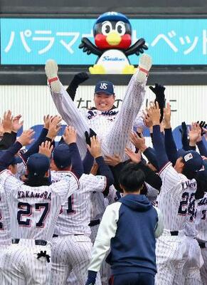 ファン感謝イベントで胴上げされるヤクルト・村上=23日、神宮
