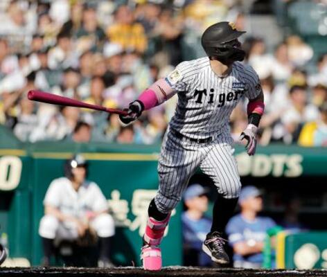 　６回阪神１死、佐藤が左中間に本塁打を放つ＝甲子園