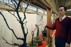 高知の老舗料亭で盆梅が見頃