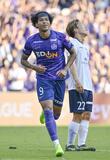 決勝は柏と広島 来月１日
