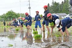 収穫が楽しみ 児童ら田植え