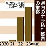 「ナラ枯れ」拡大9000本に　前年度比１・４倍　13市町に被害、県南深刻