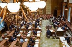 【国旗損壊罪法案】対象曖昧、拡大解釈恐れ