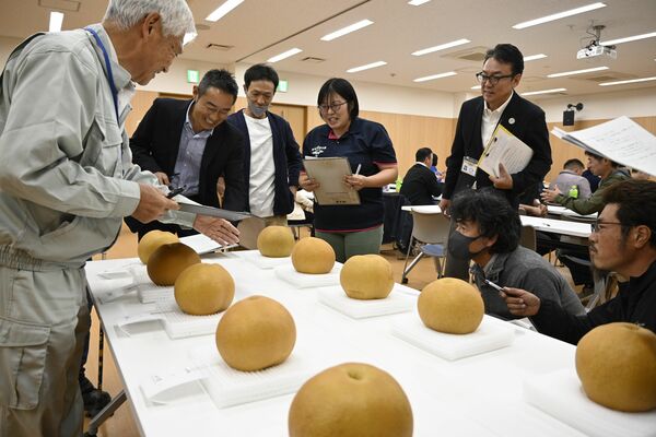 にっこりの形や汚れなどを確認する審査員＝21日、宇都宮市