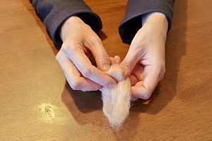 球形にまとめる