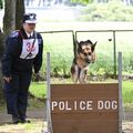 栃木県の警察犬など60頭が真剣勝負、最高賞には雄の「アイヴァン」が輝く　ペットも参加