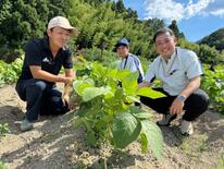 野菜に吹きかけるだけで収穫アップ