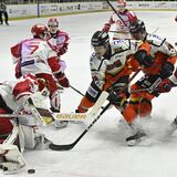 アイスホッケーアジアリーグ　バックス残り６戦、３月１、２日ホームで横浜と激突　ＰＯ進出へ連勝あるのみ