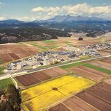 矢板・堀越遺跡北部に浮かび上がる巨大な四角形　「ナスカの地上絵」のよう　記者が正体を追うと…