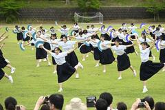優雅に舞い花や波表現