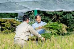 天皇陛下、皇居で稲刈り