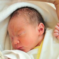 【速報】栃木県内の出生数、初の9000人割れ 合計特殊出生率も過去最低に 人口動態統計