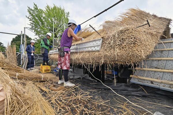 茅葺き屋根の面を整える職人