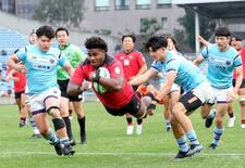 帝京、早稲田、明治、京産が４強