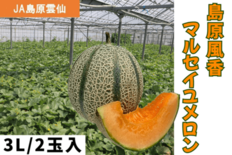 長崎県産の「島原風香 マルセイユメロン」がJAタウンのショップ「もぐも…