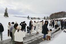 人気の並木は切り株に、押し寄せる観光客に「いたちごっこ」