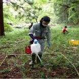 ヤマビル対策には重曹が効果あり　栃木県が中間報告　農林業従事者へ活用促す