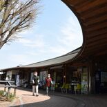 イチゴの多さに驚き！　道の駅みかも（栃木）　土産物にも人気