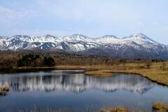 北海道「知床五湖」の遊歩道再開