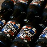 焙煎モルトのブラウンエールビール　日光ブルーイング