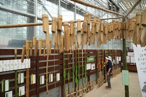 竹に関する知識などを紹介する企画展