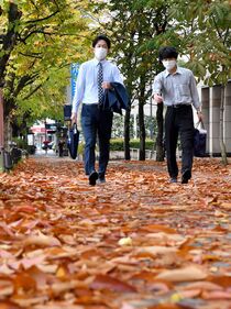「立冬」前も気温上昇　栃木県内で11月７日