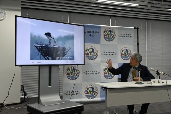 コウノトリのひな３羽の確認を発表する浅野市長