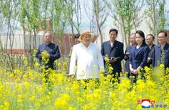 金正恩氏、菜の花畑を視察