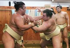 安青錦と霧島が稽古で２勝２敗