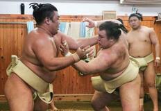 安青錦と霧島が稽古で２勝２敗