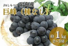 栃木県内の名産地が育む巨峰とシャインマスカットを産地直送通販サイト「JAタウン」で予約販売開始