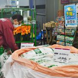 “今季最強”寒波に警戒を　「10年に１度の低温」　24日栃木県内全域で降雪の恐れ