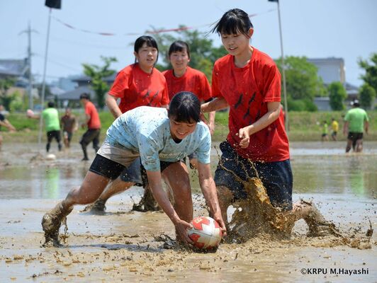ノエビアグリーン財団提供