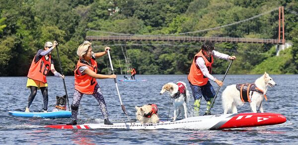 愛犬を乗せて懸命にパドルを漕ぐ出場者＝21日午前10時35分、那須町豊原乙、磯真奈美撮影