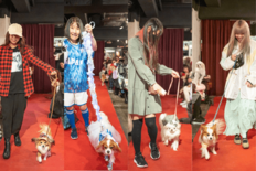 愛犬・愛猫と一緒にレッドカーペットを歩く、ファッションショーを開催！