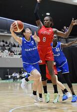 経験の差 白鴎大力負け