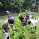 「日光街道」４度目の受賞　日本風景街道・関東優秀賞　長年の除草活動が高評価