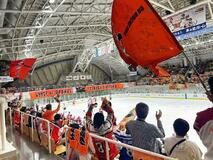 栃木日光、紆余曲折の百年