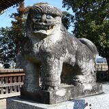 佐野・人丸神社にある珍しい青い瞳のこま犬　キラリと輝くビー玉、作った職人の心は…