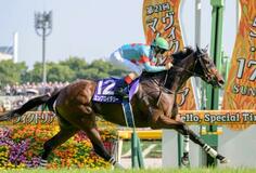 エンブロイダリーが優勝